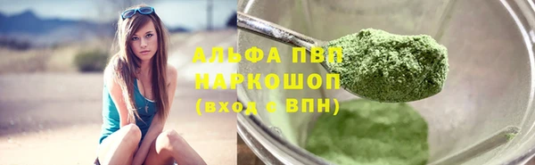 СК Белокуриха