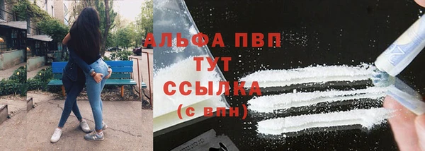 СК Белокуриха