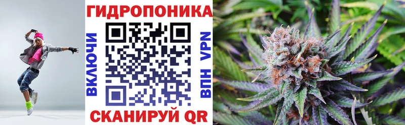 Шишки марихуана планчик Высоцк